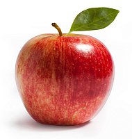 Услуги фотографа изображение раздела Услуги фотографа картинка раздела